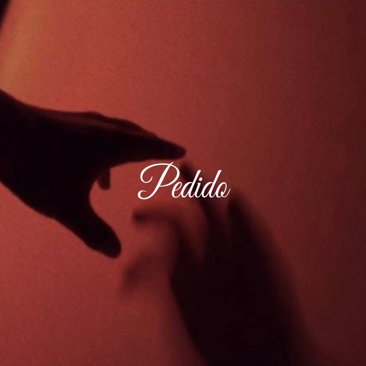 Pedido - Single by lucatt & andrezl album cover