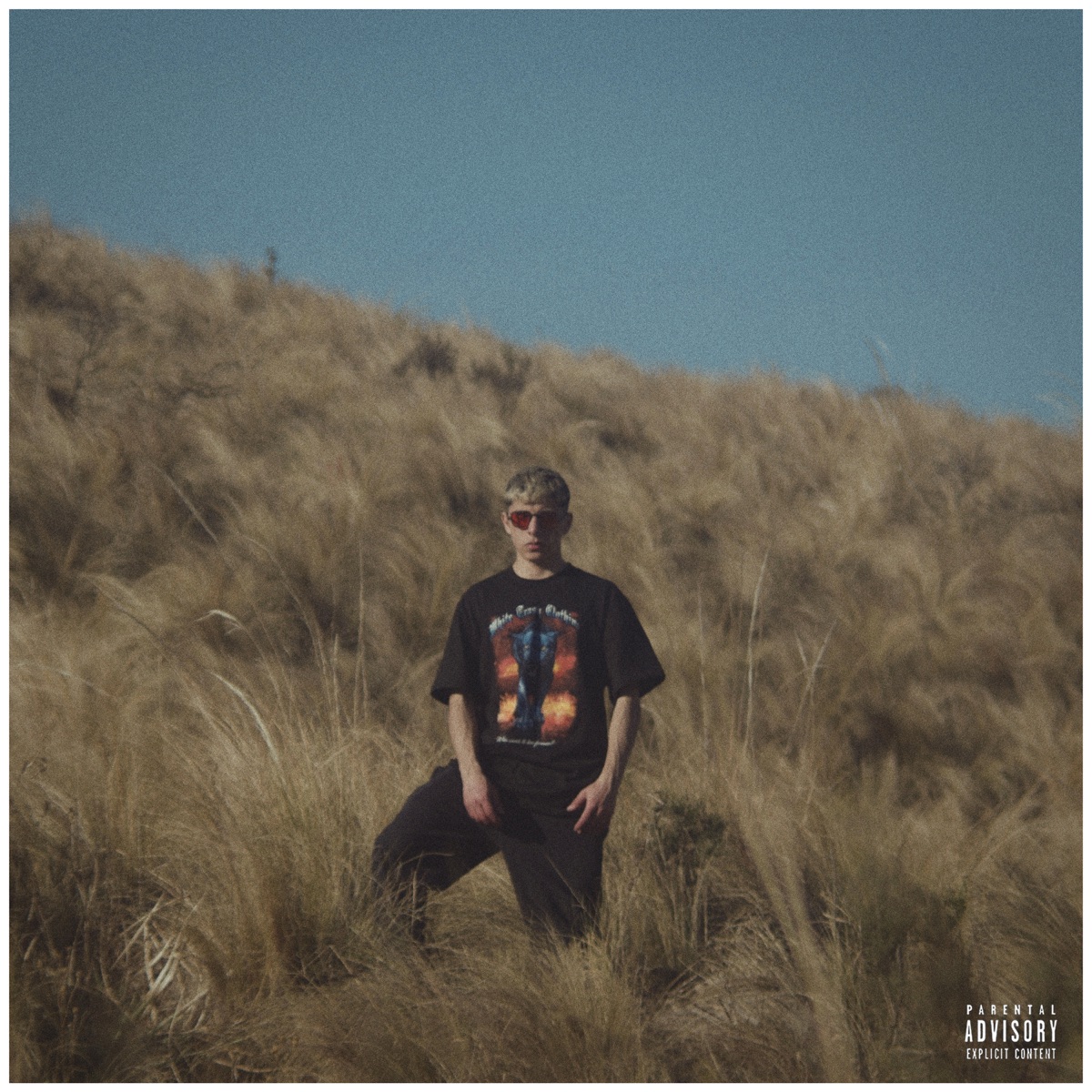Desnuda - Single by Arhes album cover