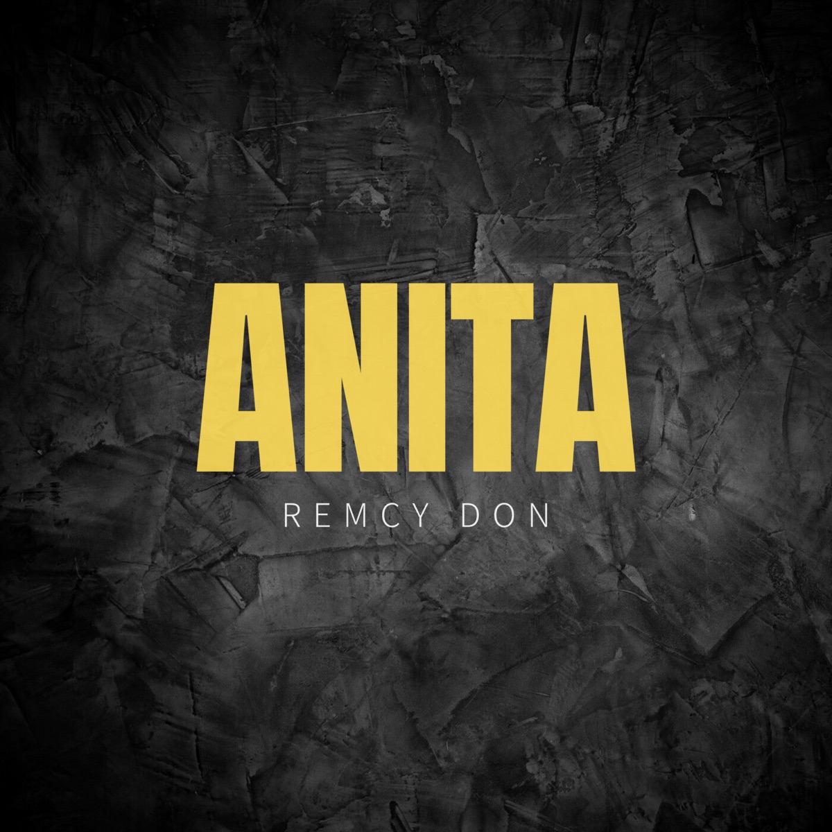 Anita by Remcy Don album cover