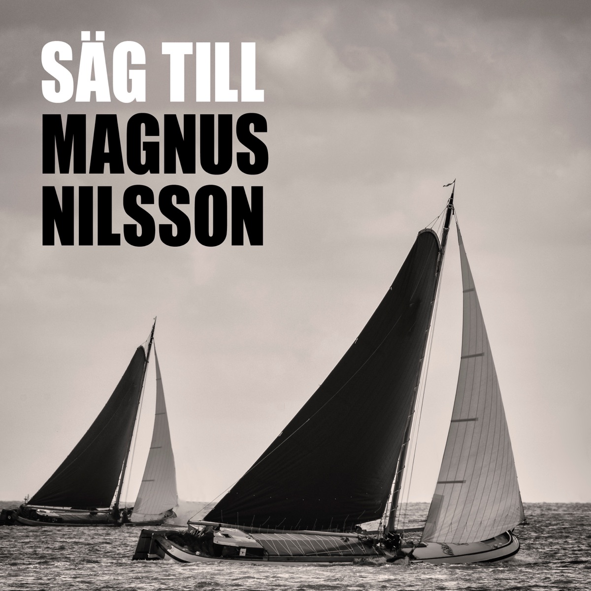 Säg till - Single by Magnus Nilsson album cover