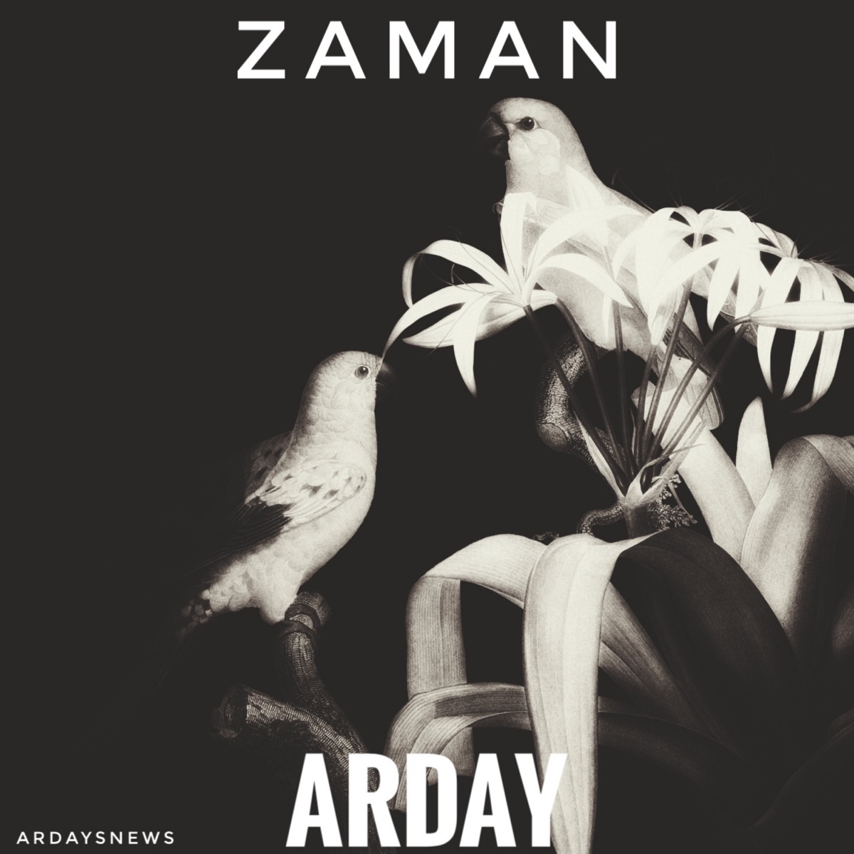 Zaman - Single by Arday album cover