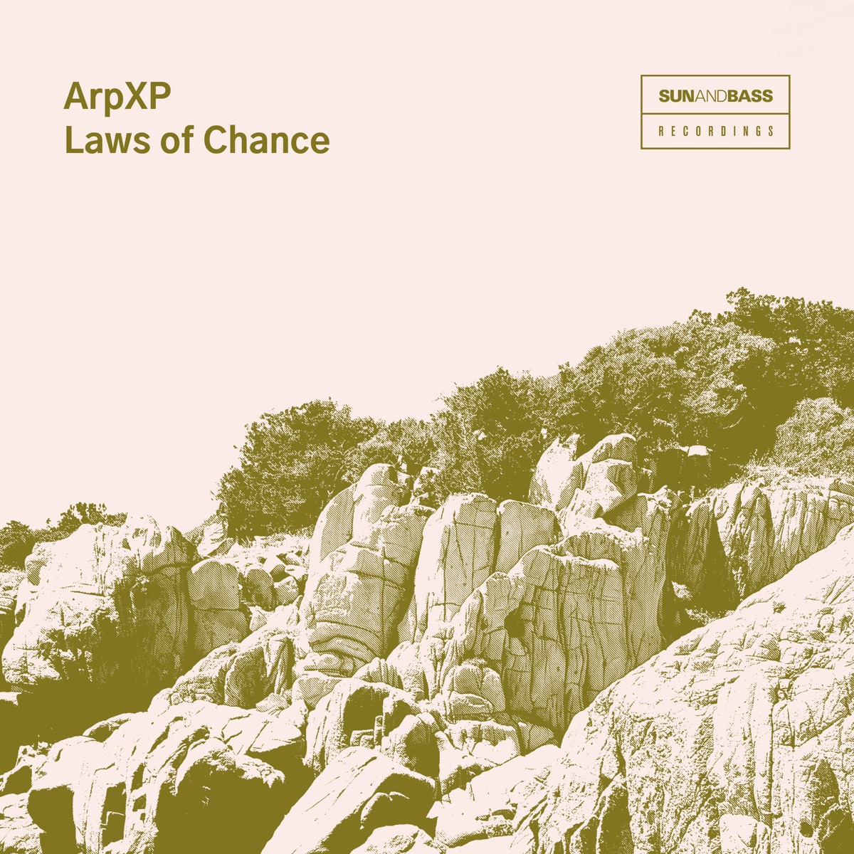 Laws of Chance by Arpxp album cover