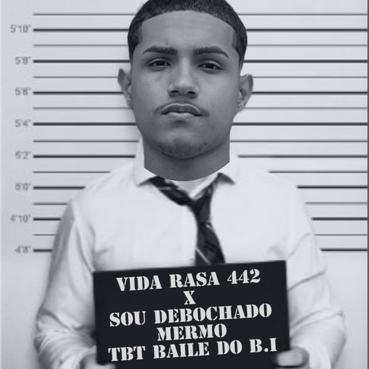 Vida Rasa 442 X Sou Debochado Mermo (Tbt Baile Do B.I) (feat. Dg do Brooklyn & Mc Pl Alves) - Single by DJ PZK album cover