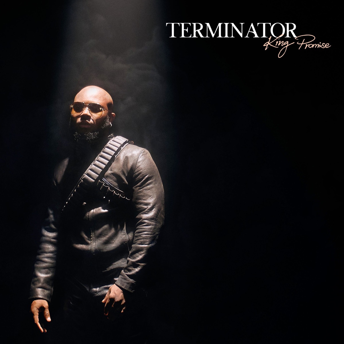 Terminator - Single by King Promise album cover