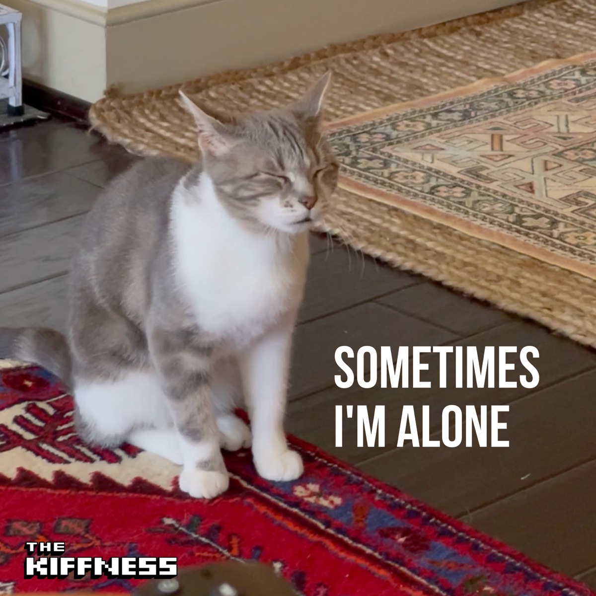 Sometimes I'm Alone (Lonely Cat) - Single by The Kiffness album cover