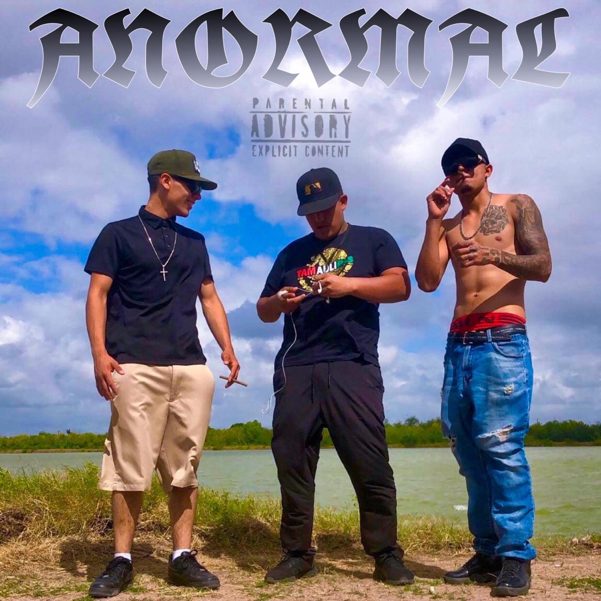 ANORMAL (feat. MALNACIDOS) - Single by ALDAY868 album cover