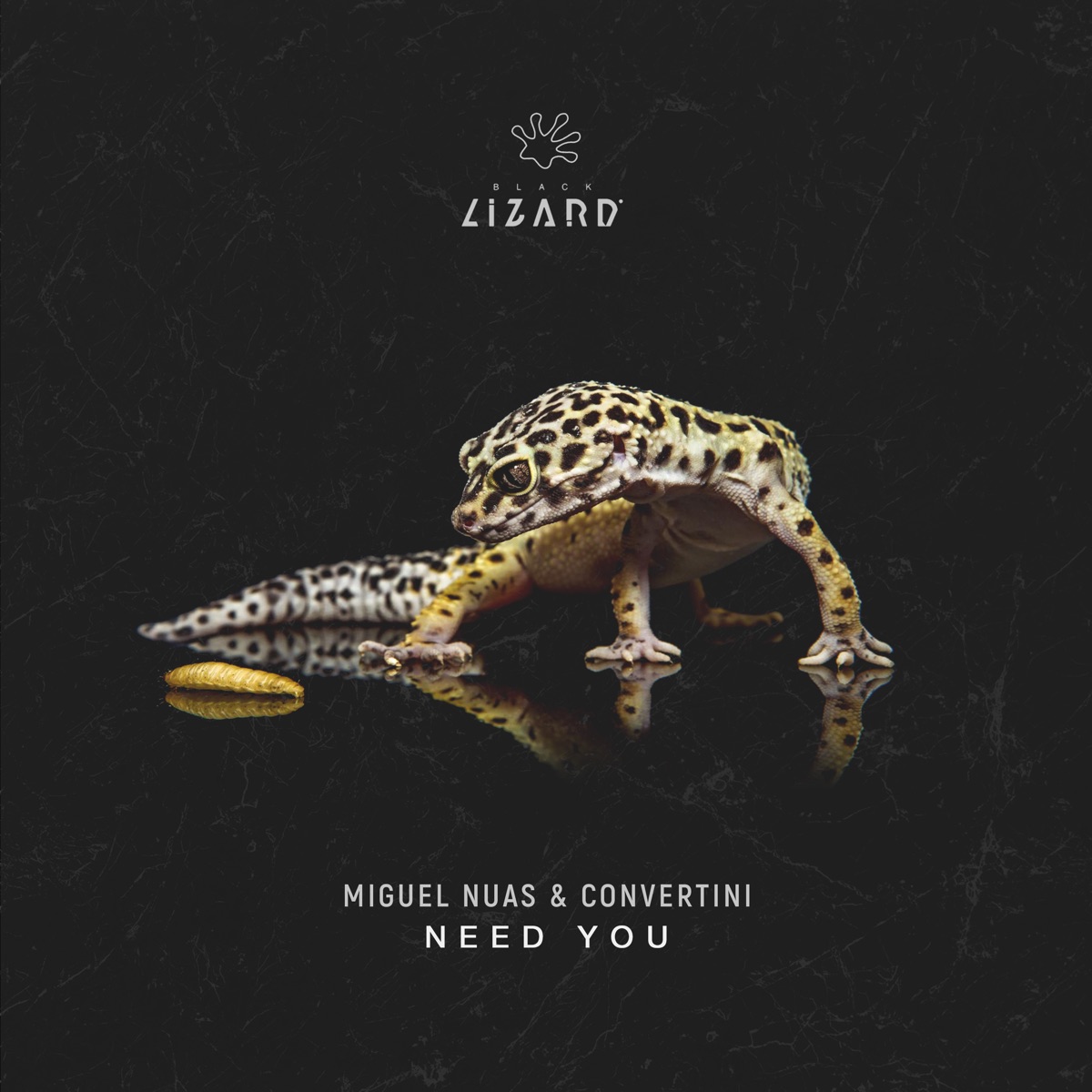 Need You (Radio Edit) - Single by Miguel Nuas & Convertini album cover