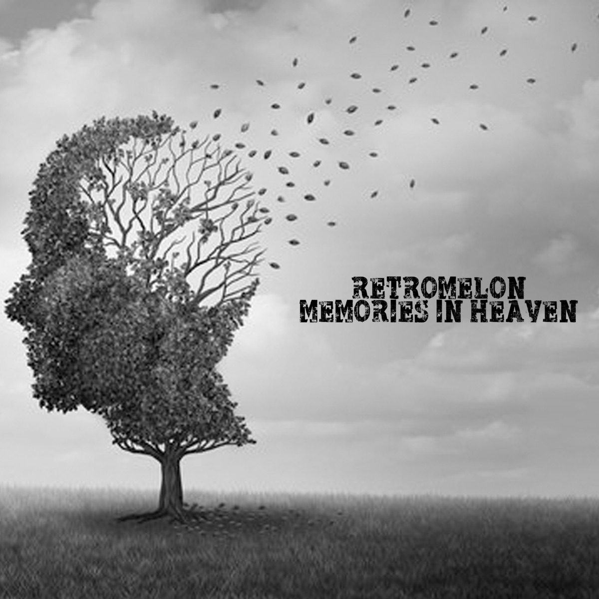 MEMORIES IN HEAVEN (Remix) - Single by Retromelon album cover