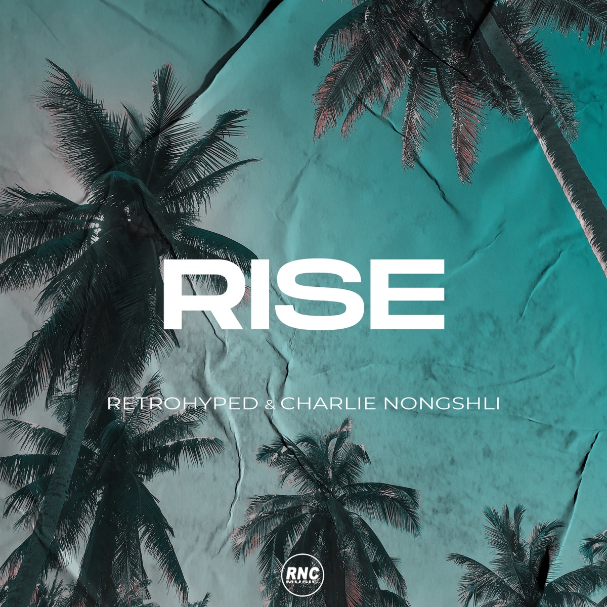 Rise - Single by Retrohyped & Charlie Nongshli album cover