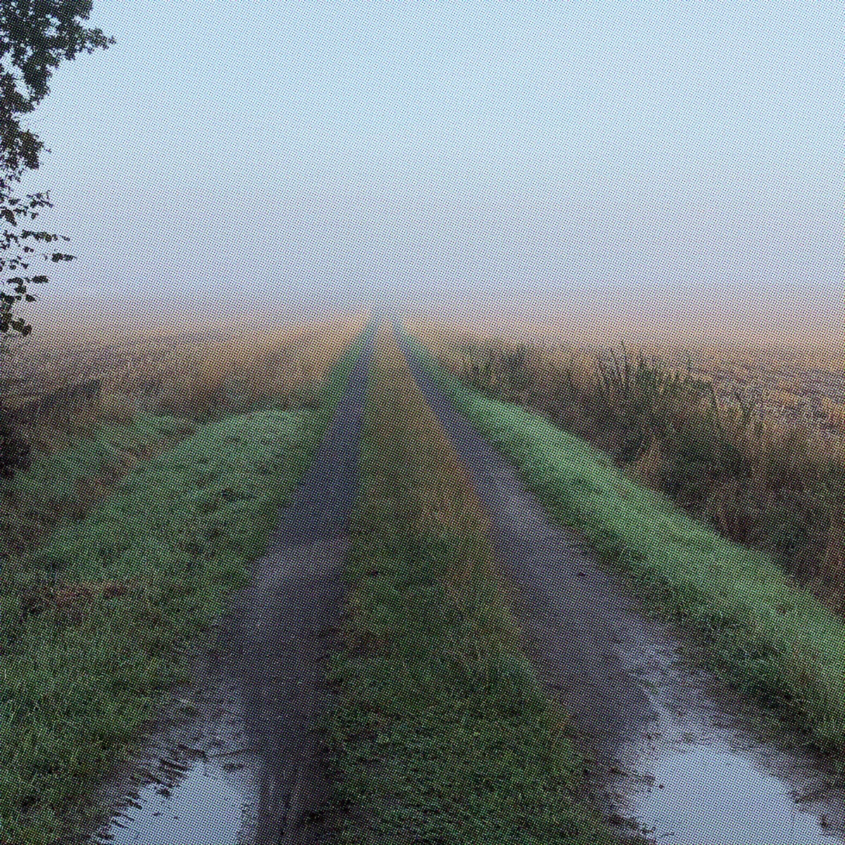 Fog Forms Early In the Morning - Single by DJ Polar album cover