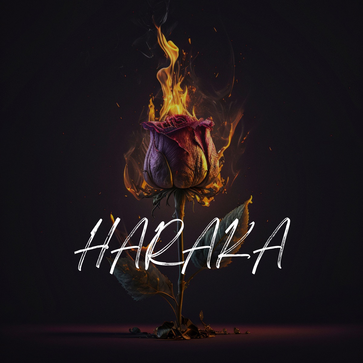 HARAKA - Single by Wilin la esencia & Håvard Gimse album cover