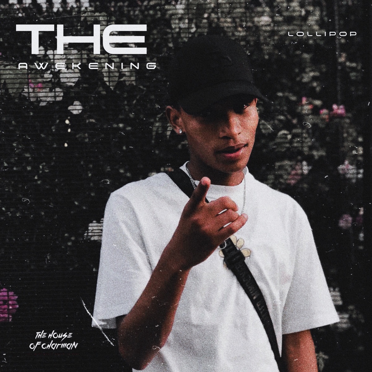 The Awakening by Lolli Pop album cover