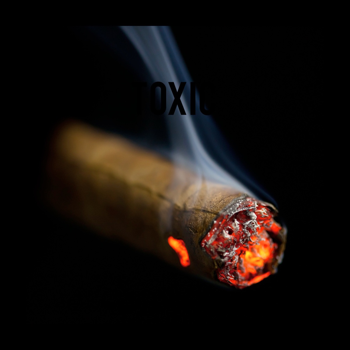 Toxic (Sgija) [feat. Tee stakev] - Single by Royal_Lee & QTM Musiq album cover