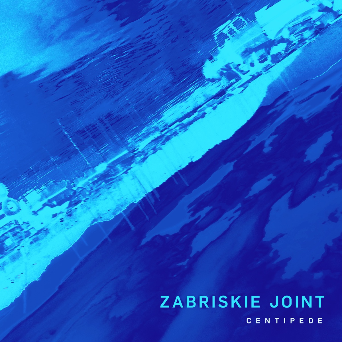 Centipede - EP by Zabriskie Joint album cover