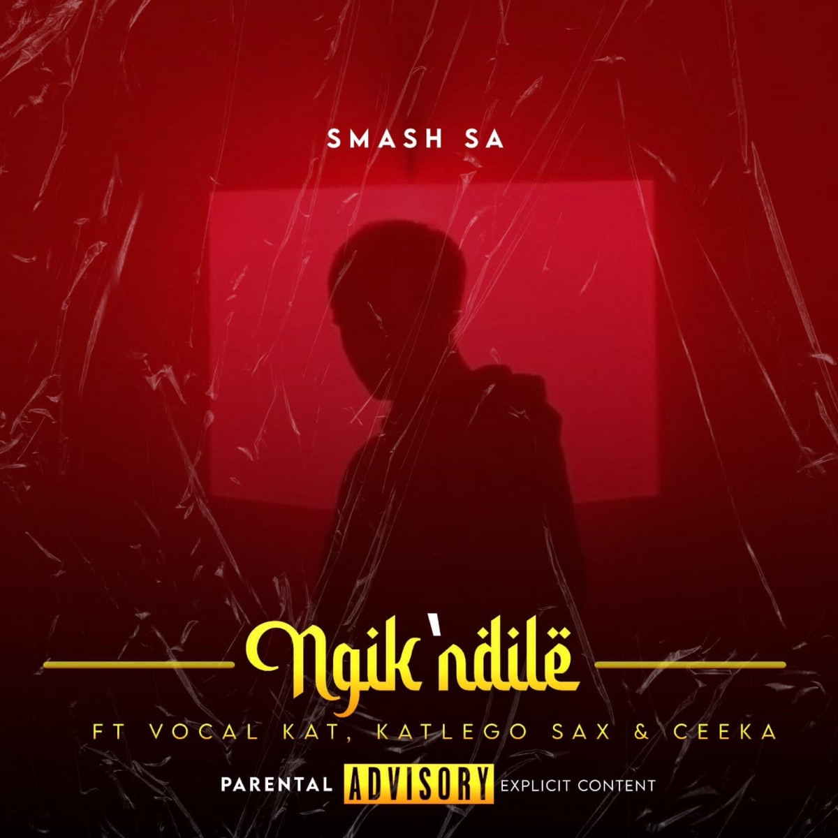 Ngik'thandile (feat. Ceeka, Vocal kat & Katlego sax) - Single by Smash SA album cover