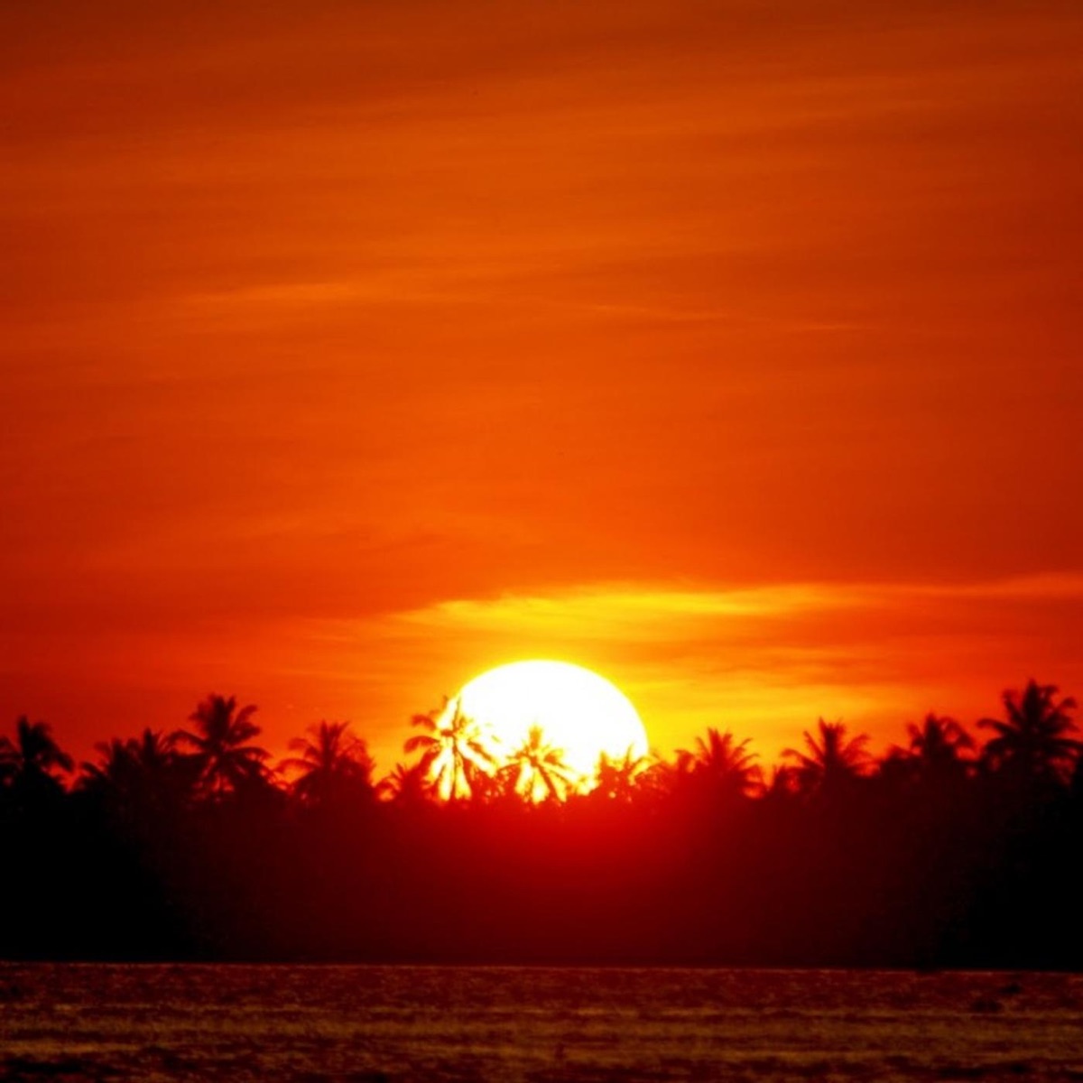 Fim de Tarde (feat. DJ Gui JC) - Single by MC Renan SJ album cover