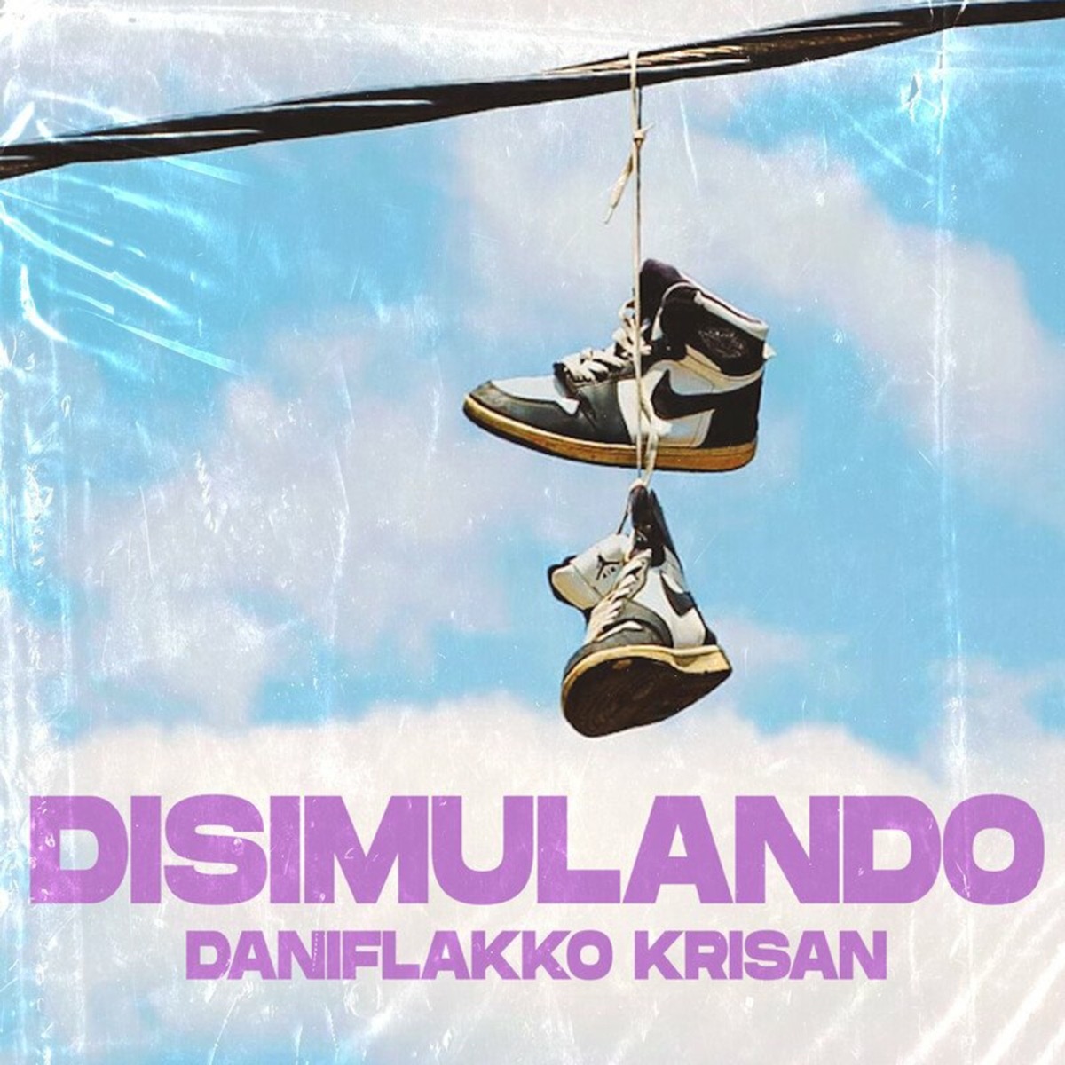 Disimulando - Single by DaniFlakko & Krisan album cover