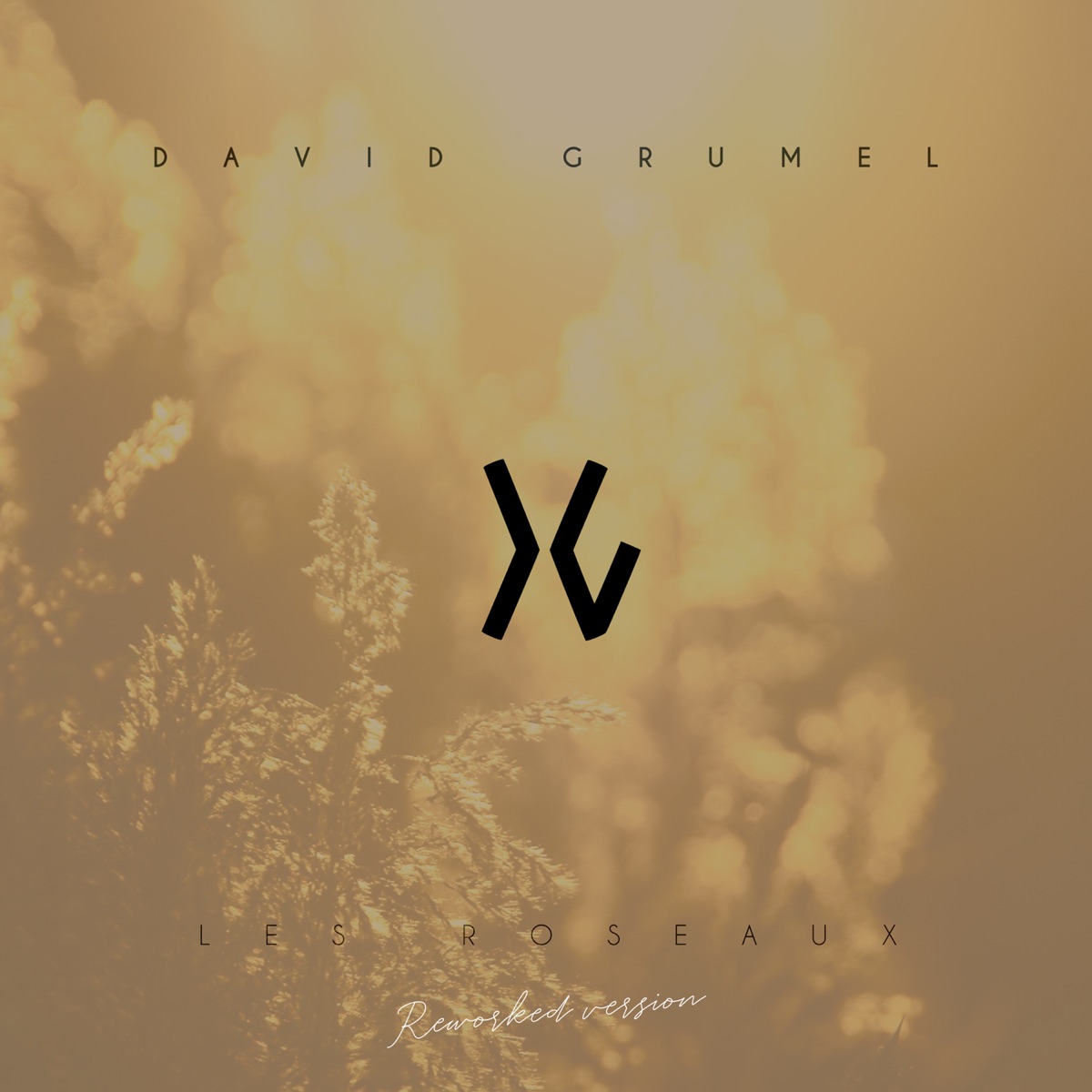 Les Roseaux (2020) [Reworked Version] by David Grumel album cover