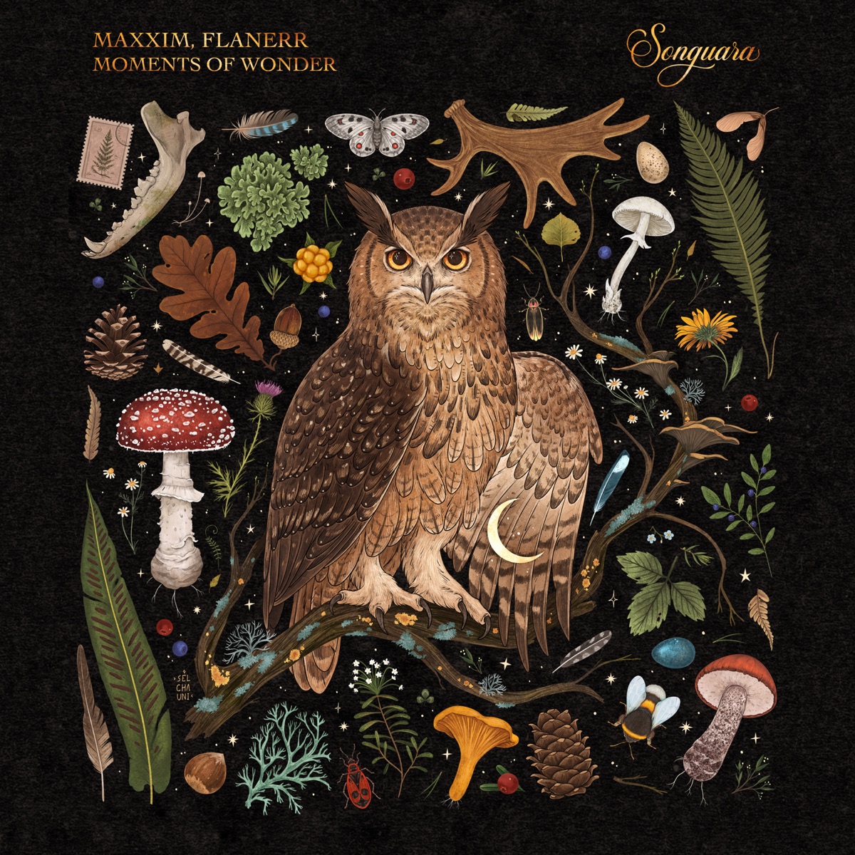 Moments of Wonder - Single by Maxxim & flanerr album cover