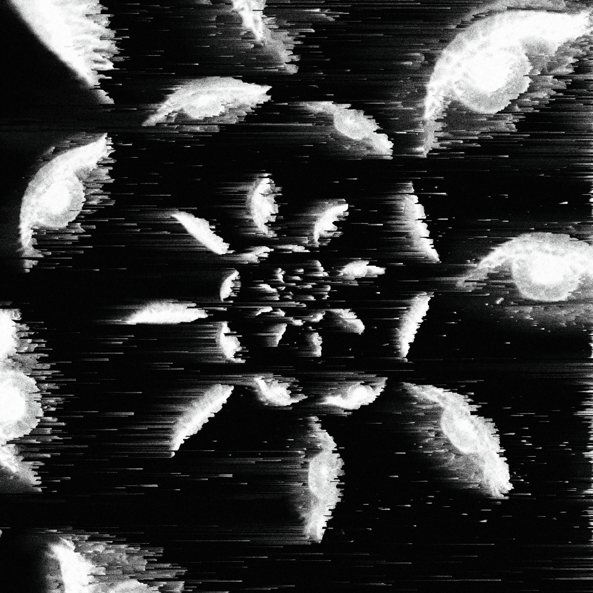 NO ID (feat. reviser) - Single by Sk444 album cover