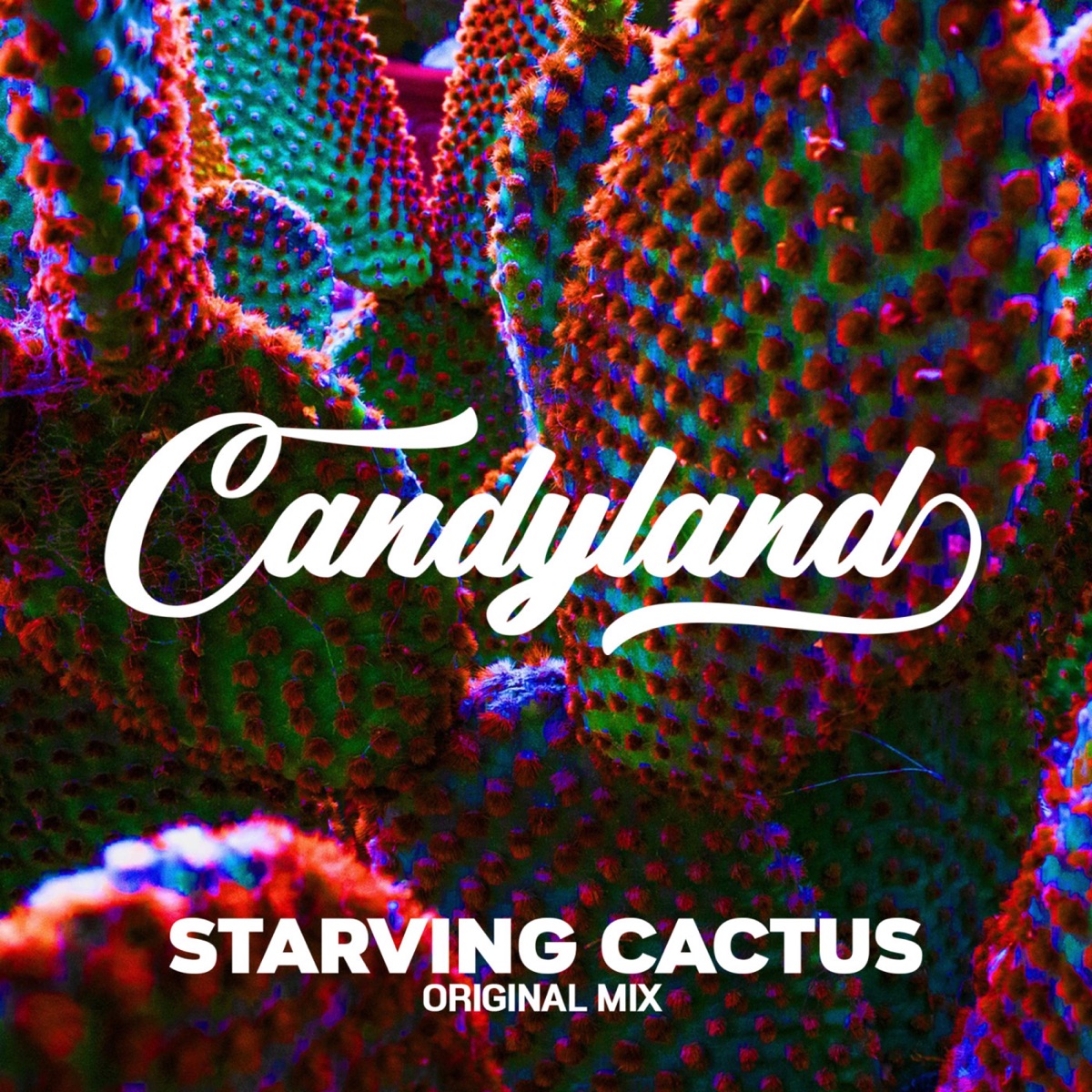 Starving Cactus - Single by Candyland album cover