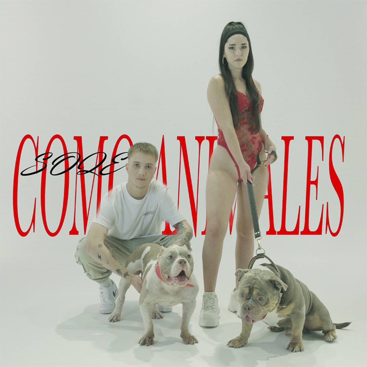 Como Animales - Single by Soqe & Victor Magan album cover