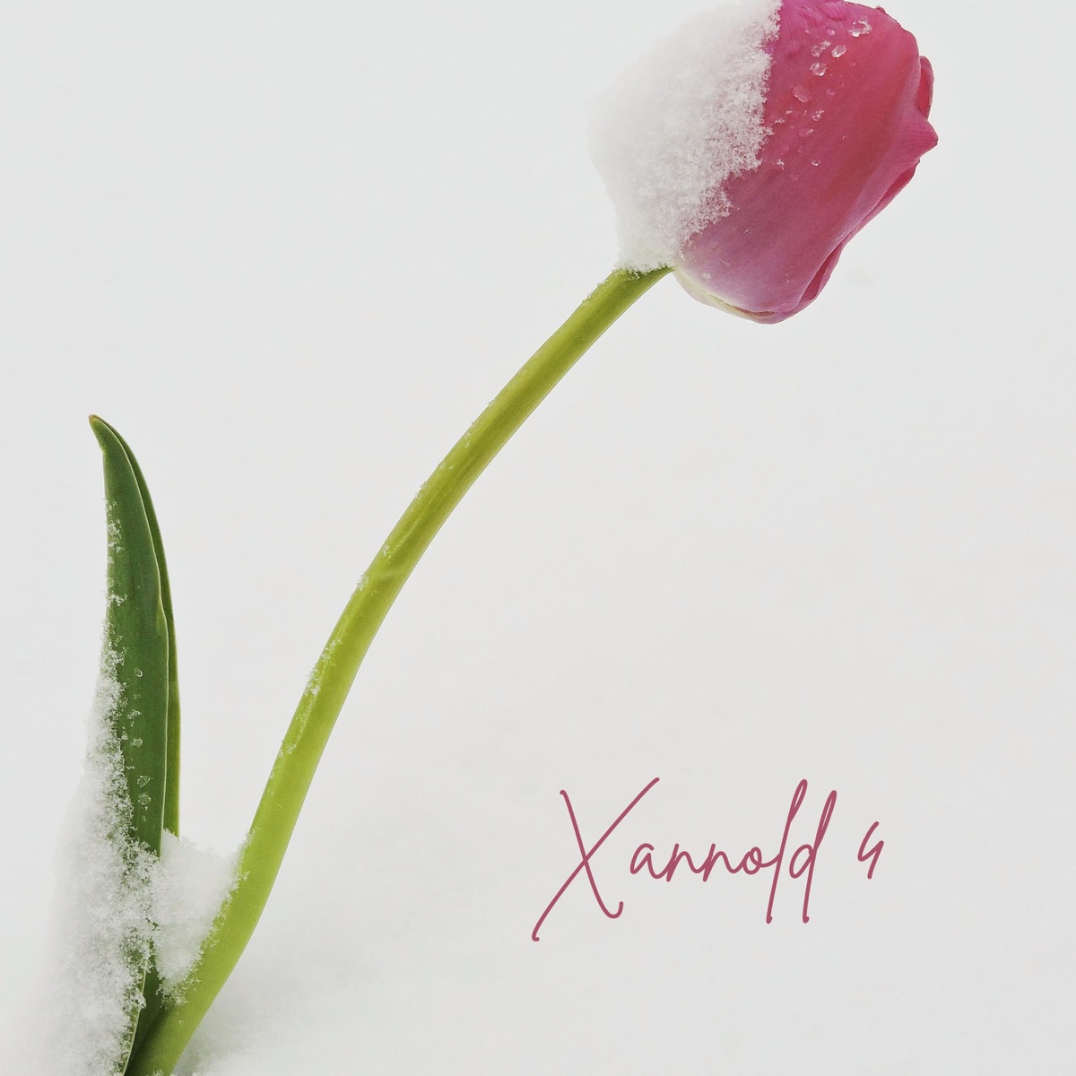 Xannold 4 (feat. Derek) - Single by Lil Woodie Wood album cover