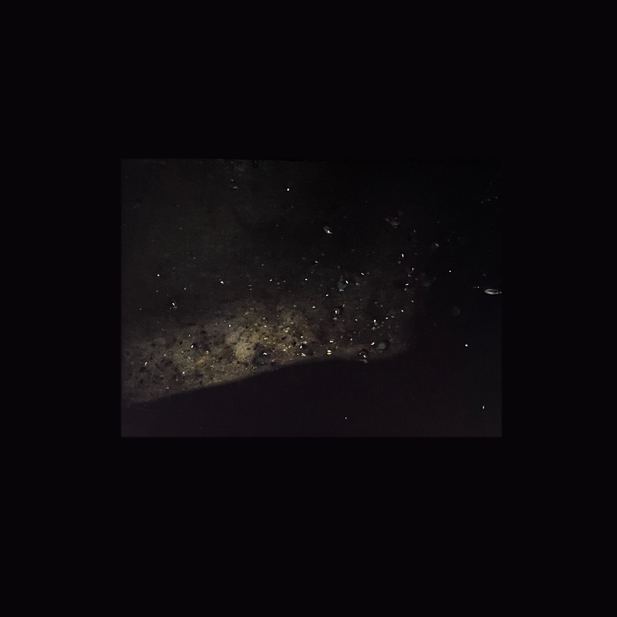 Lichten Walden - EP by Pantha du Prince album cover