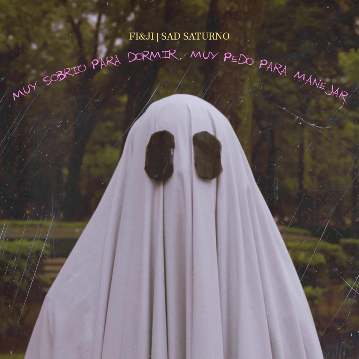Muy sobrio para dormir, muy pedo para manejar (feat. Sad Saturno) - Single by ¨FI&JI¨ album cover