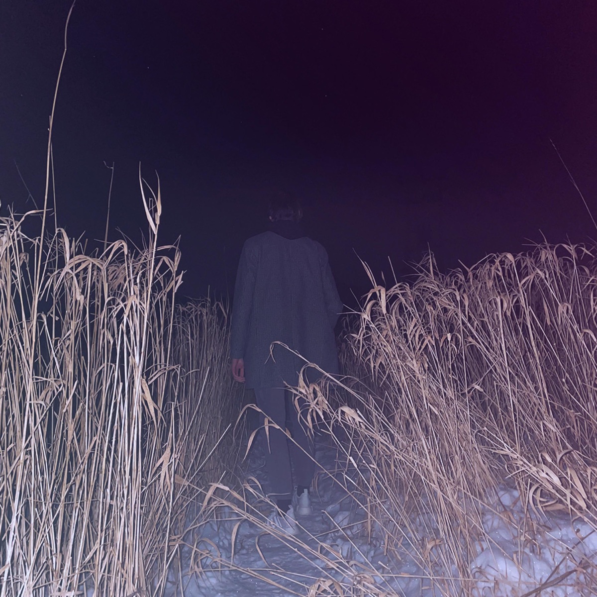 Forgotten (feat. tearsonmygucci) - Single by Sundayz album cover