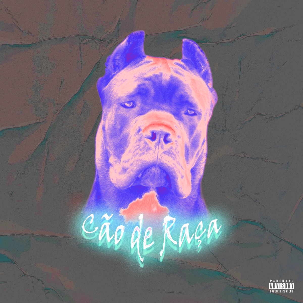 Cão de Raça - Single by Jukv, R2 Gang & Khafettao album cover