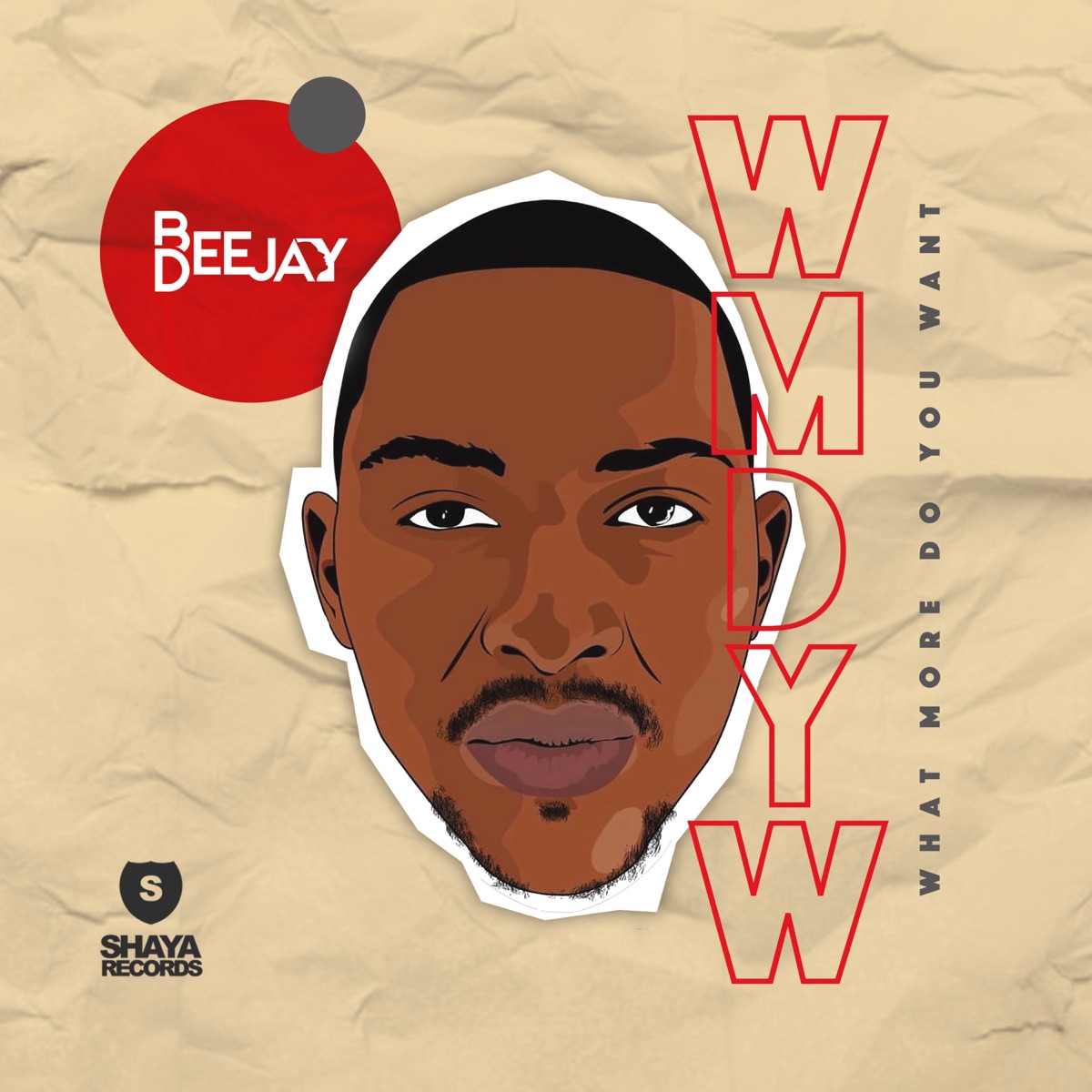 What More Do You Want (feat. Mshayi & Mr Thela) - Single by Bee Deejay album cover