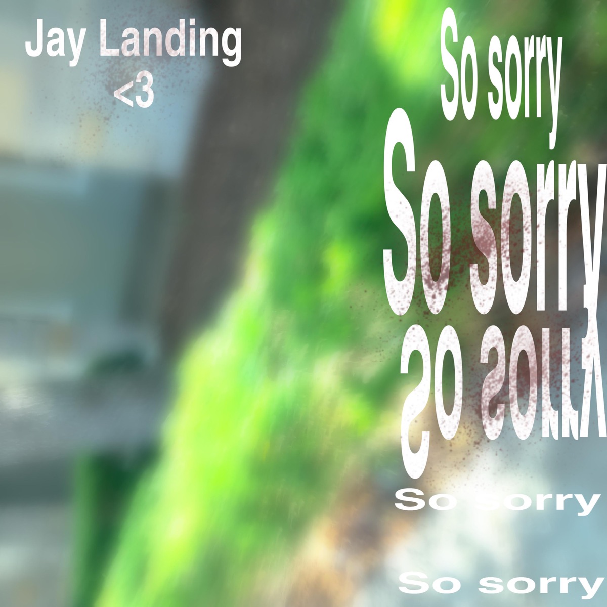 So Sorry - Single by Jay Landing album cover