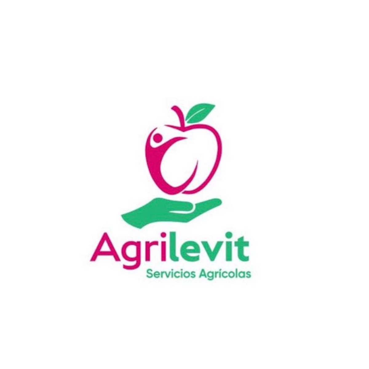 Comercial Agrilevit - Single by Tavo Alcaino album cover