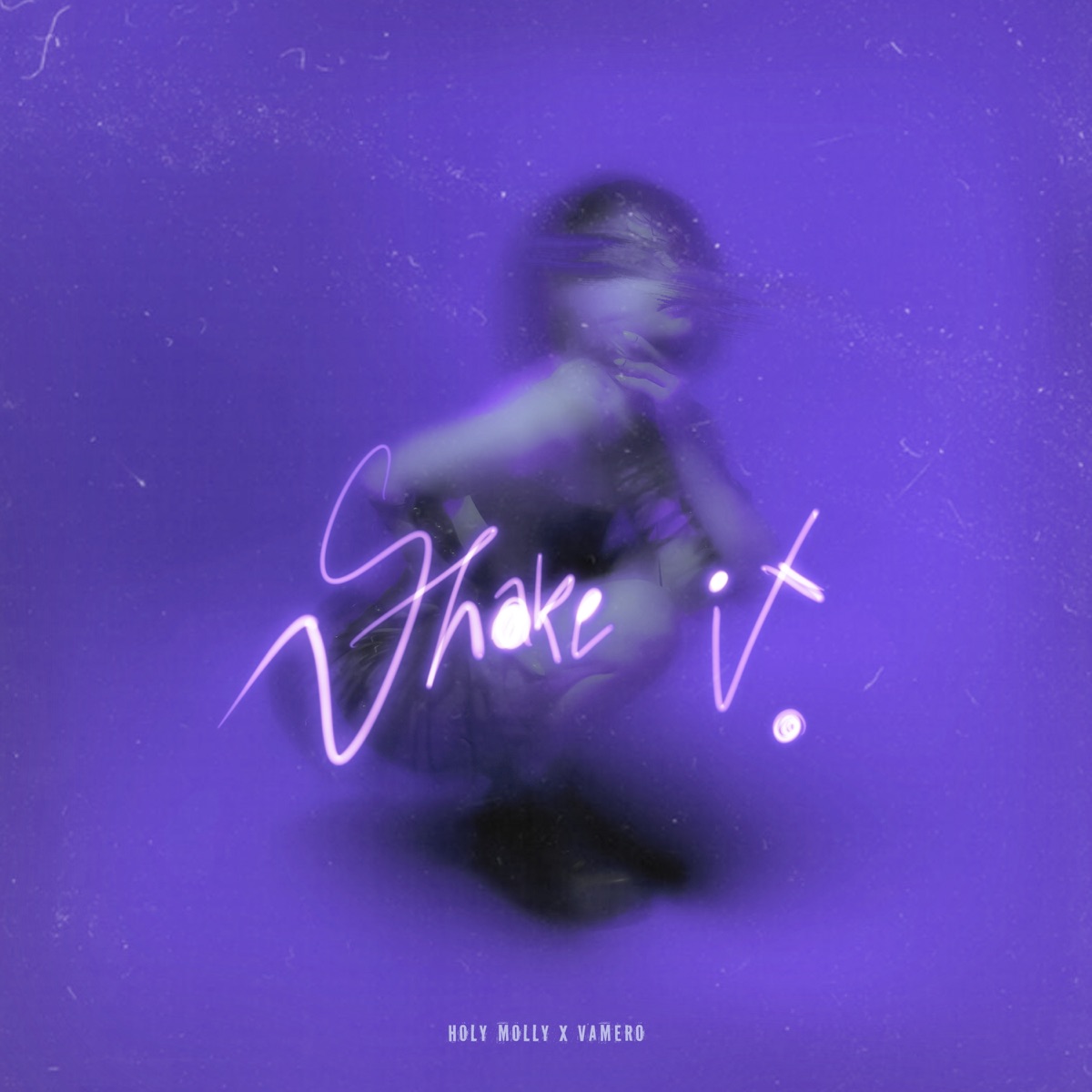 Shake It - Single by Holy Molly & VAMERO album cover