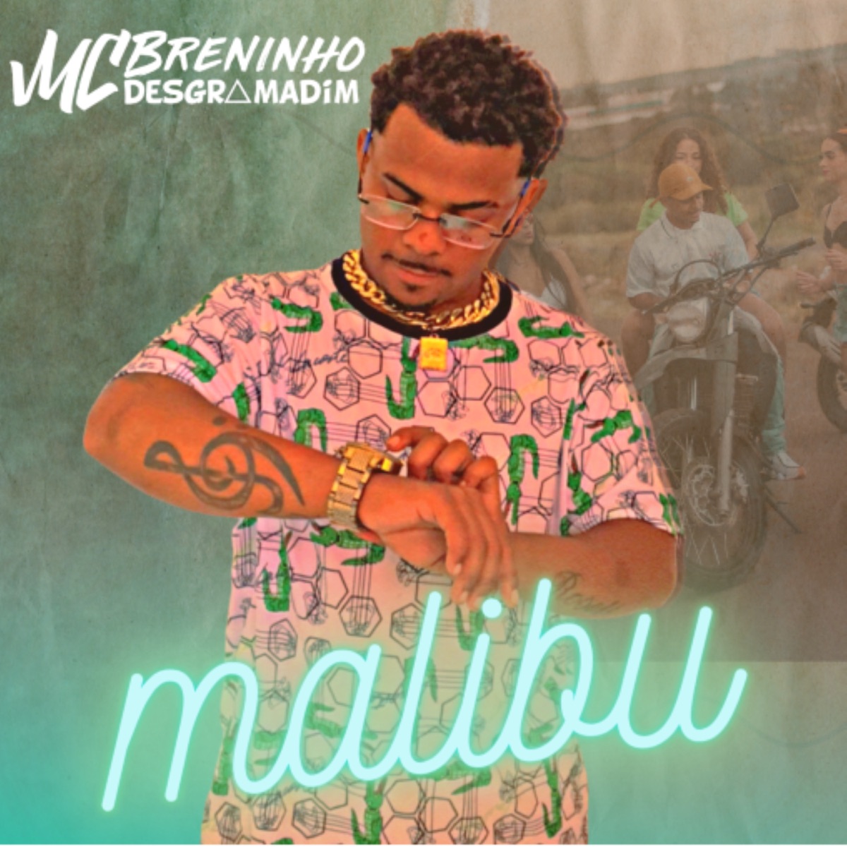 Malibu (feat. DJ Nivah) - Single by Mc Breninho Desgramadim album cover