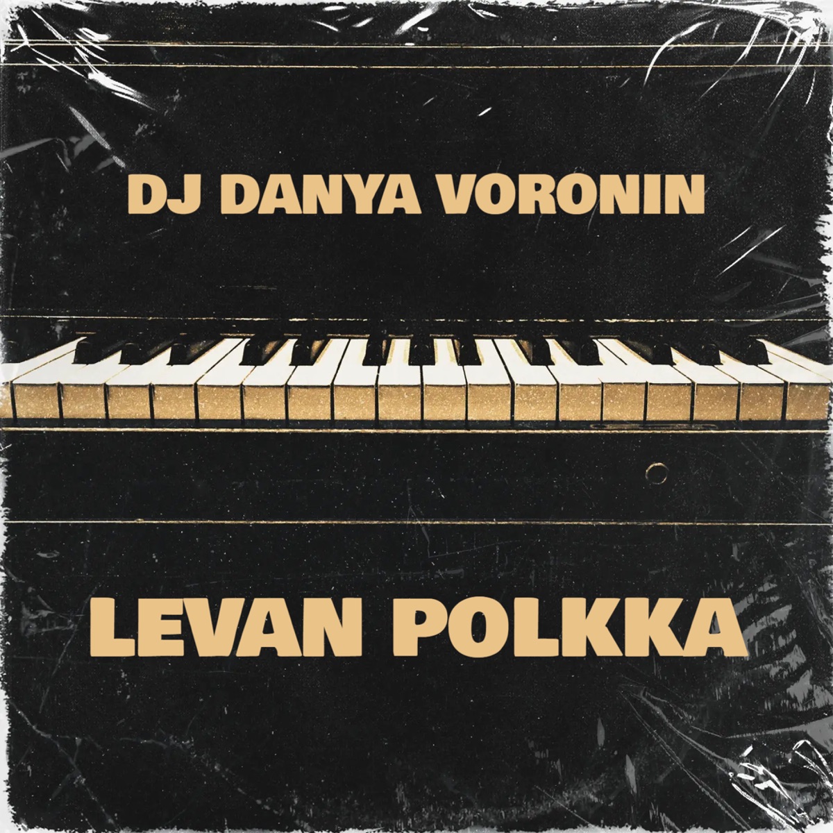 Levan Polkka - Single by DJ Danya Voronin album cover