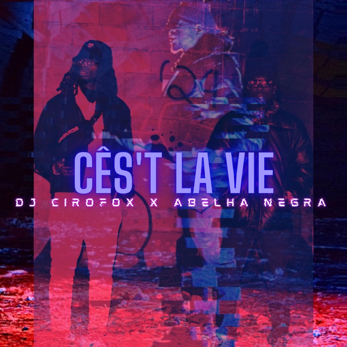 Ces't La Vie (feat. Abelha Negra) - Single by DJ Cirofox album cover