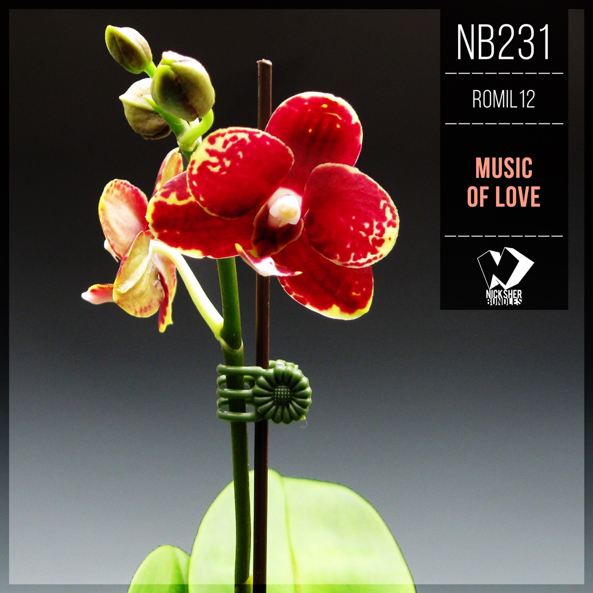 Music of Love - Single by Romil12 album cover