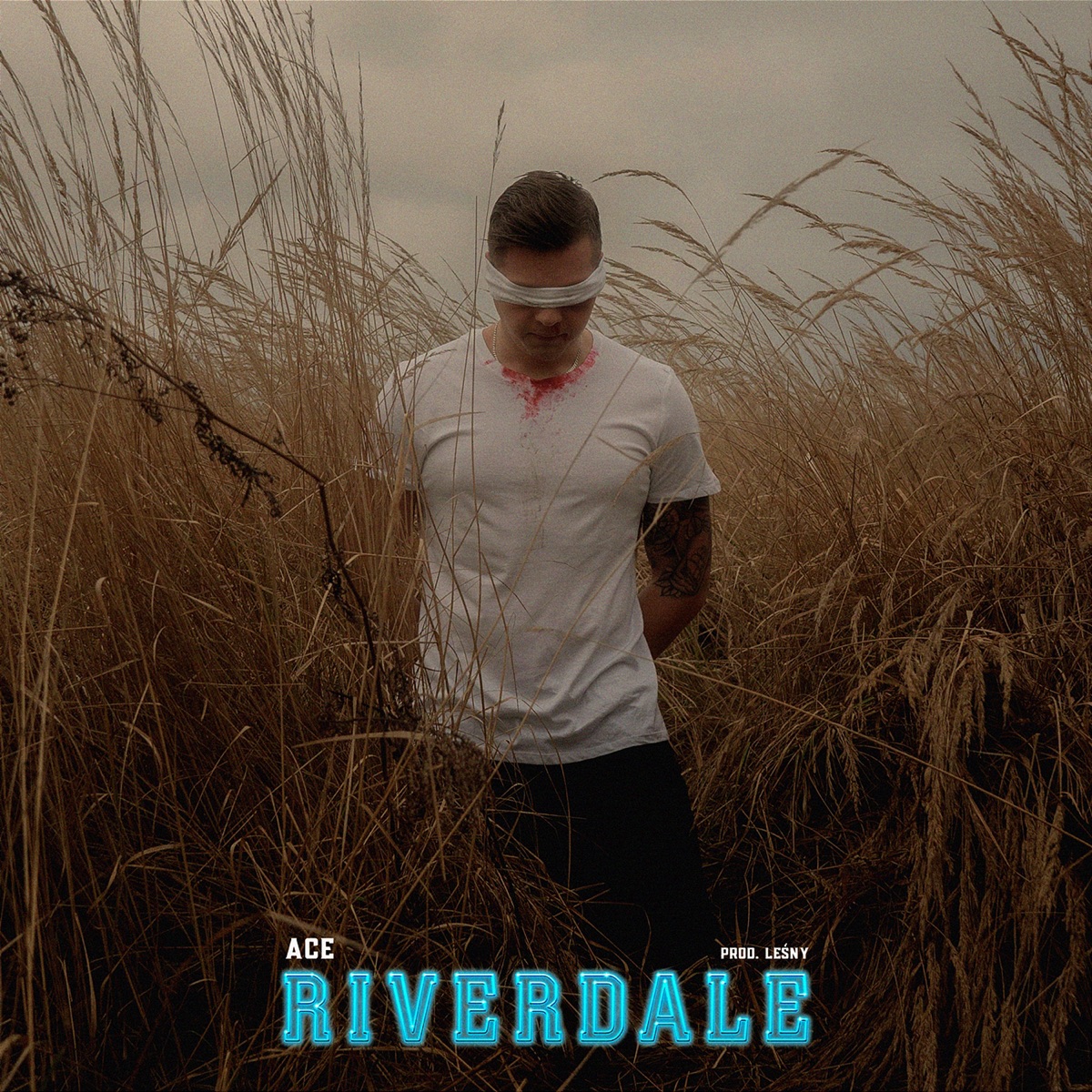 Riverdale - Single by Ace Dean & Leśny album cover