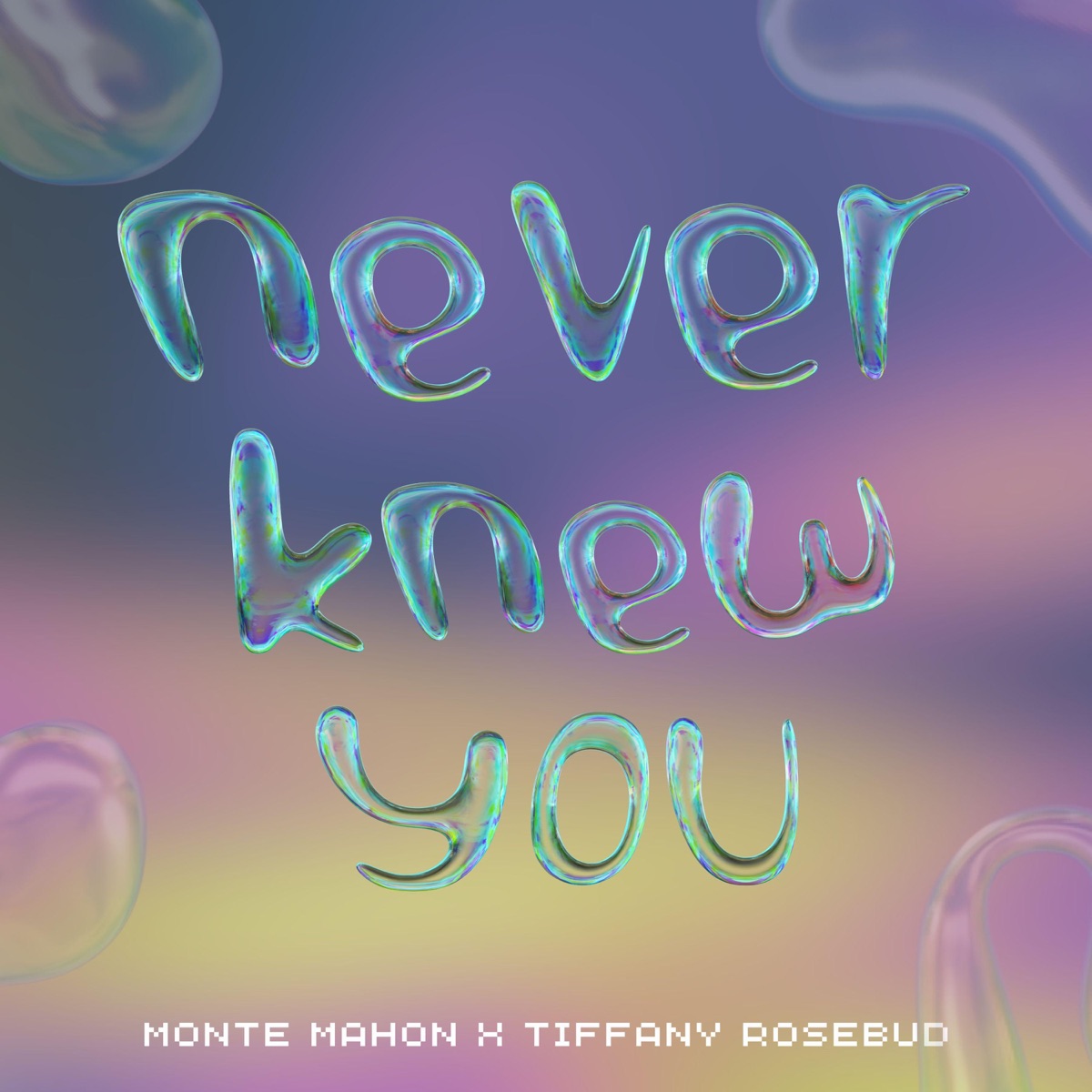 Never Knew You - Single by Tiffany Rosebud album cover