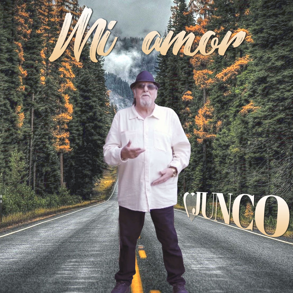 Mi Amor - Single by Junco album cover