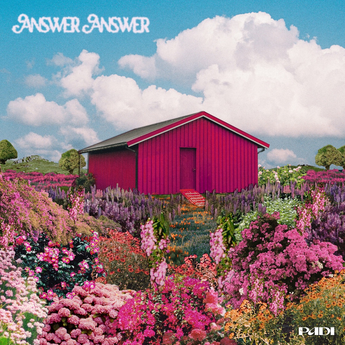 Answer Answer - Single by Padi album cover