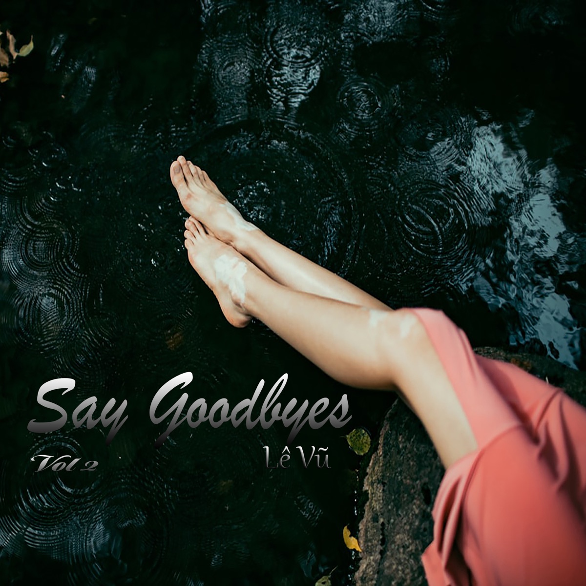 Say Goodbyes Vol. 2 (Beat) by Lê Vũ album cover