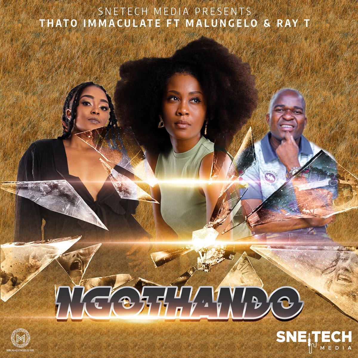 Ngothando (feat. Malungelo & Ray T) - Single by Thato Immaculate album cover