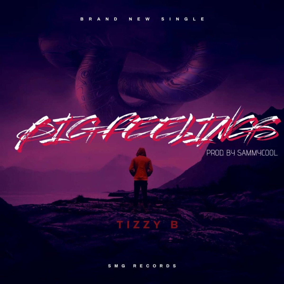 Big Feelings - Single by Tizzy B album cover