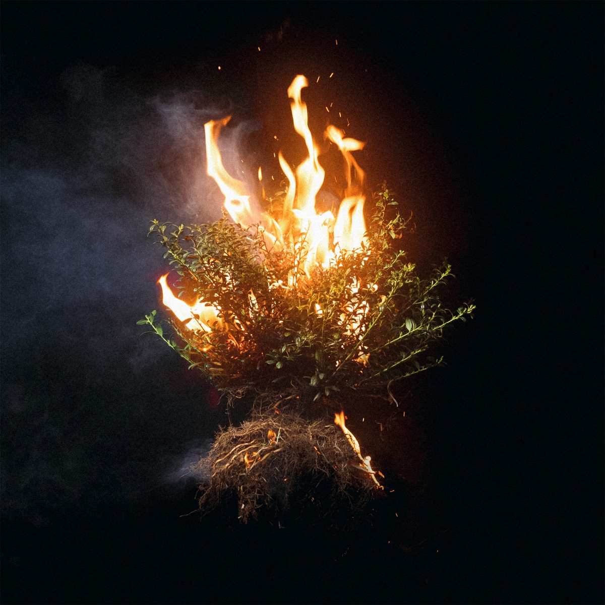 CAN YOU IMAGINE? by Elevation Worship album cover artwork