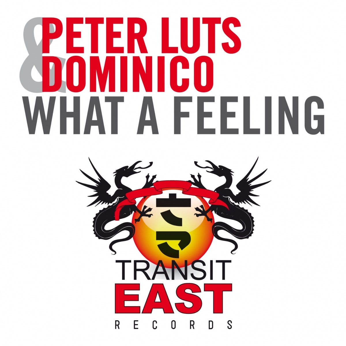 What a Feeling by Peter Luts & Dominico album cover