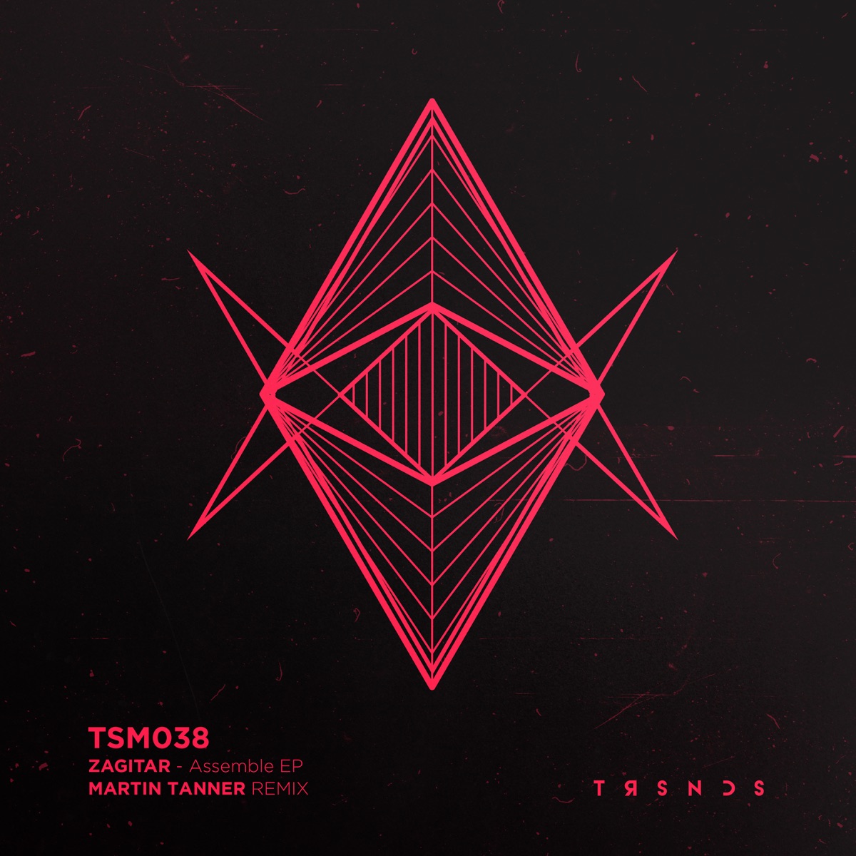 Assemble - Single by Zagitar album cover