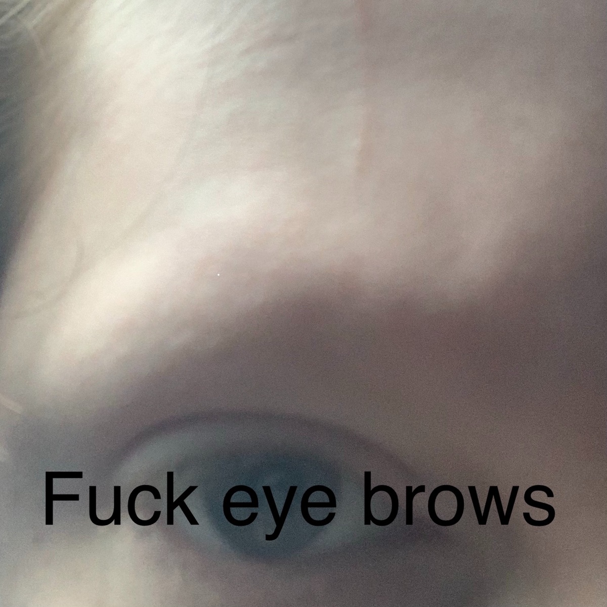F**k Eyebrows - Single by tannerstr album cover
